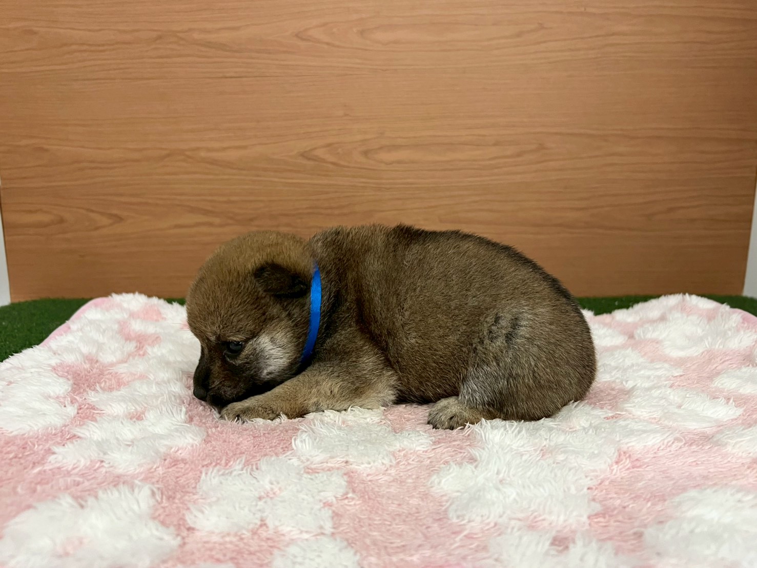 赤ちゃん写真2-2