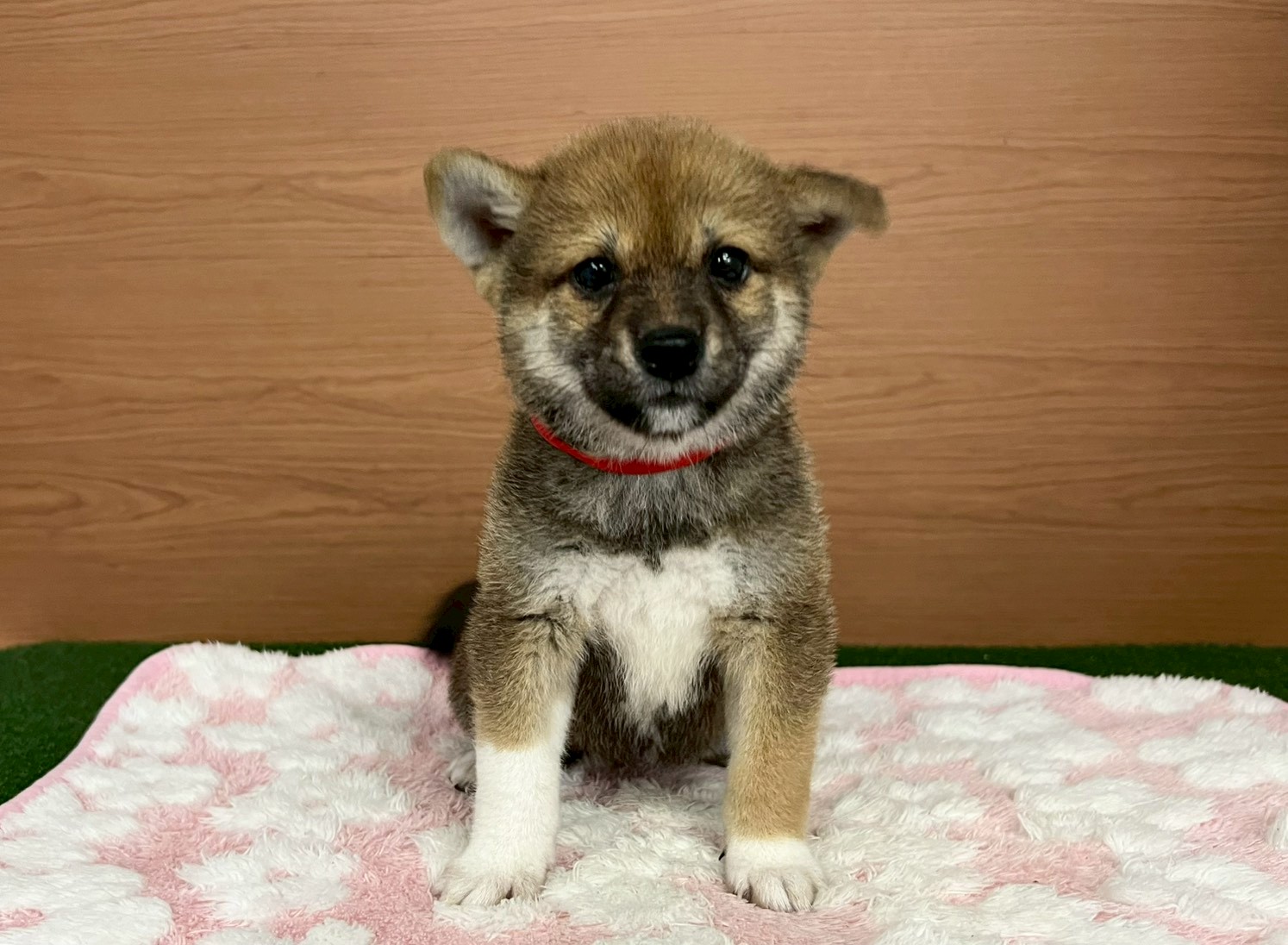 赤ちゃん写真3-1