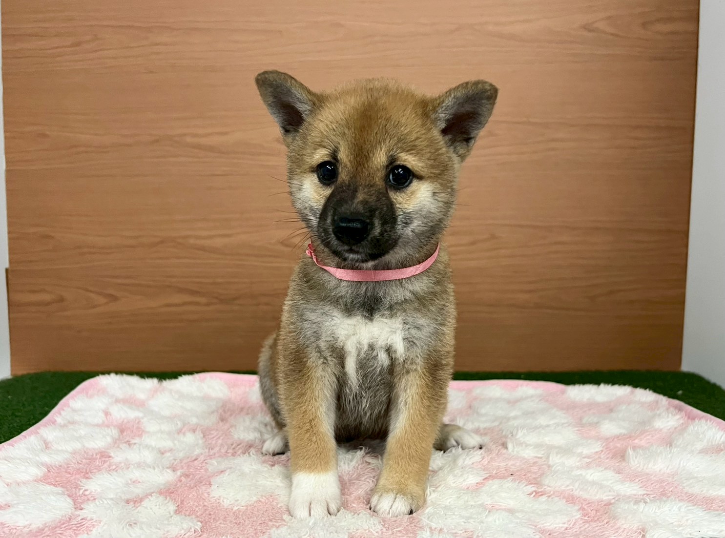 赤ちゃん写真3-1