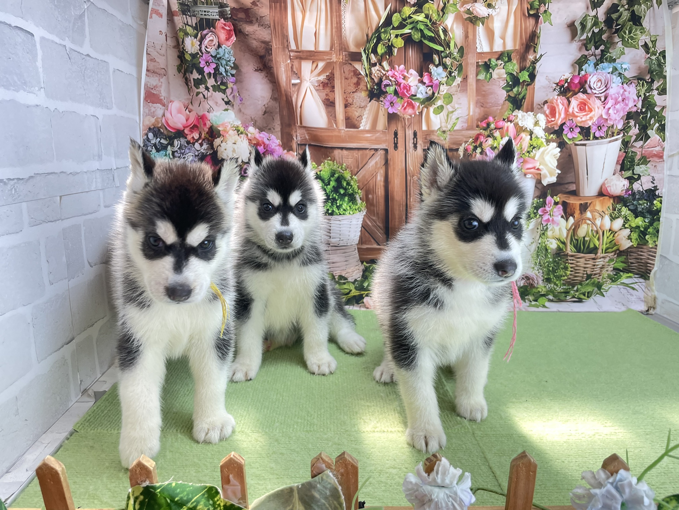 赤ちゃん写真2-3