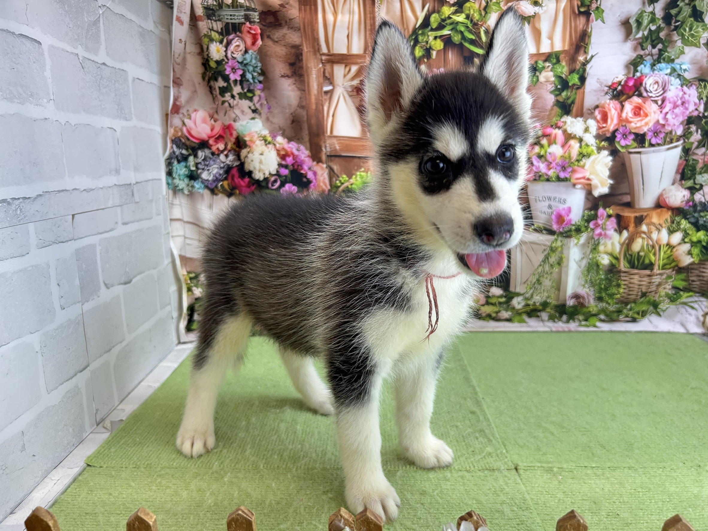 赤ちゃん写真3-2