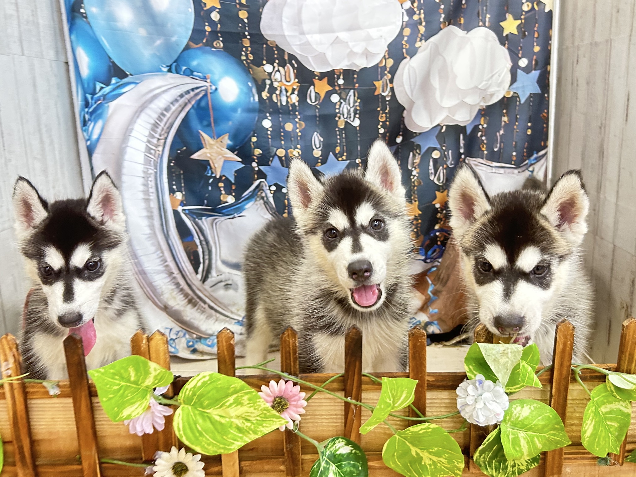 赤ちゃん写真3-3