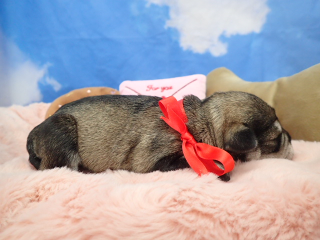 赤ちゃん写真1-2