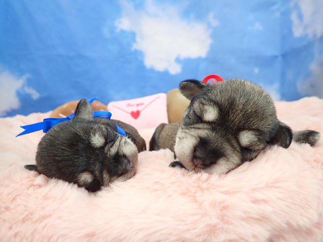 赤ちゃん写真1-3