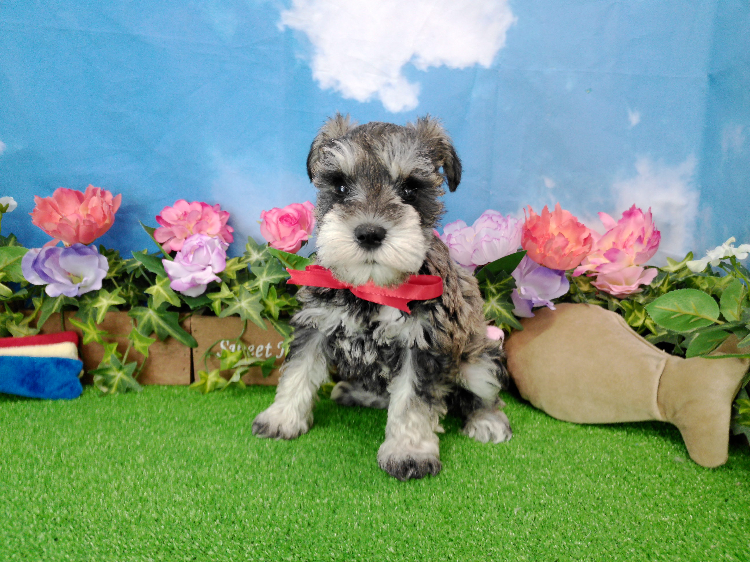 赤ちゃん写真3-1