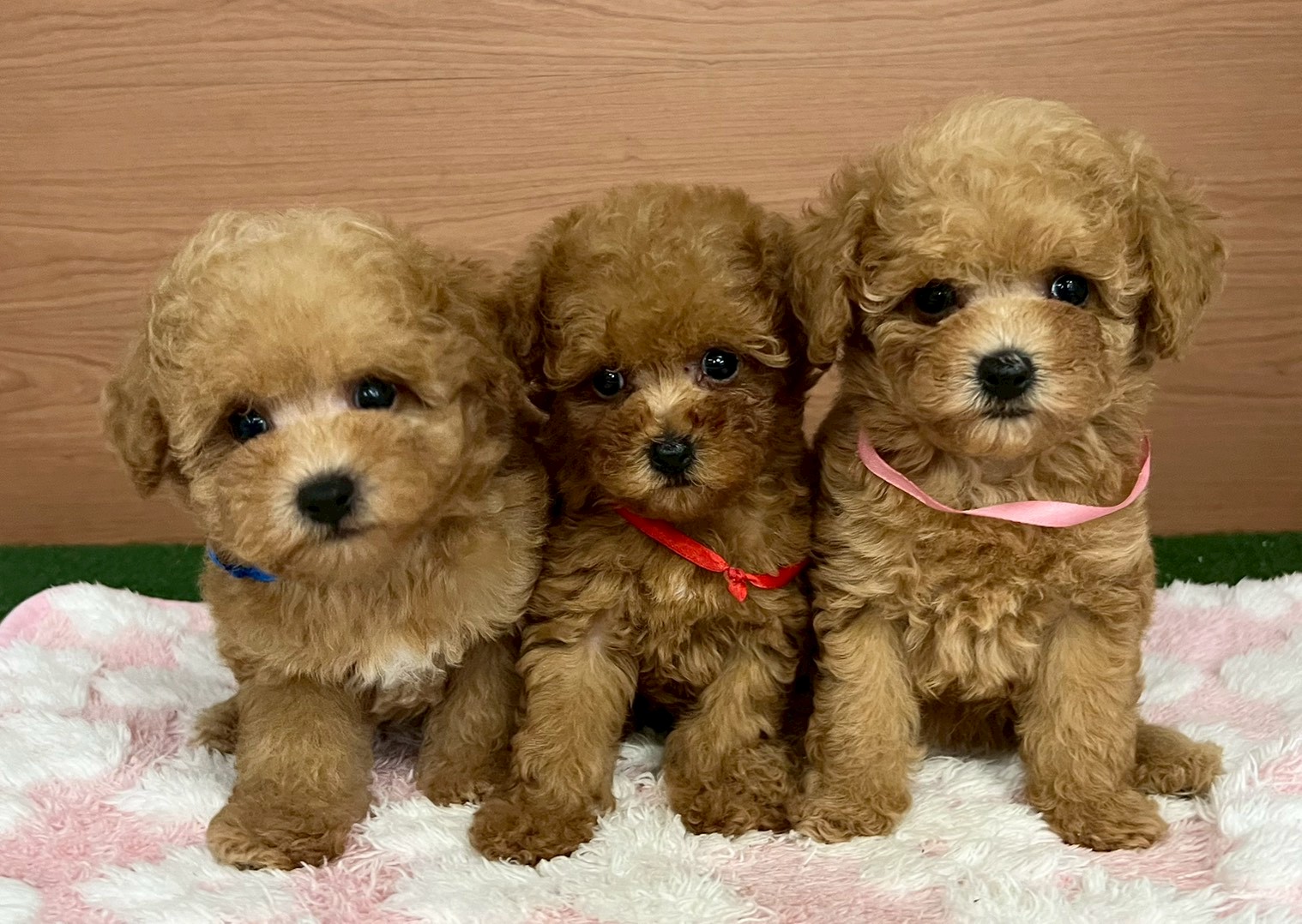 赤ちゃん写真3-3