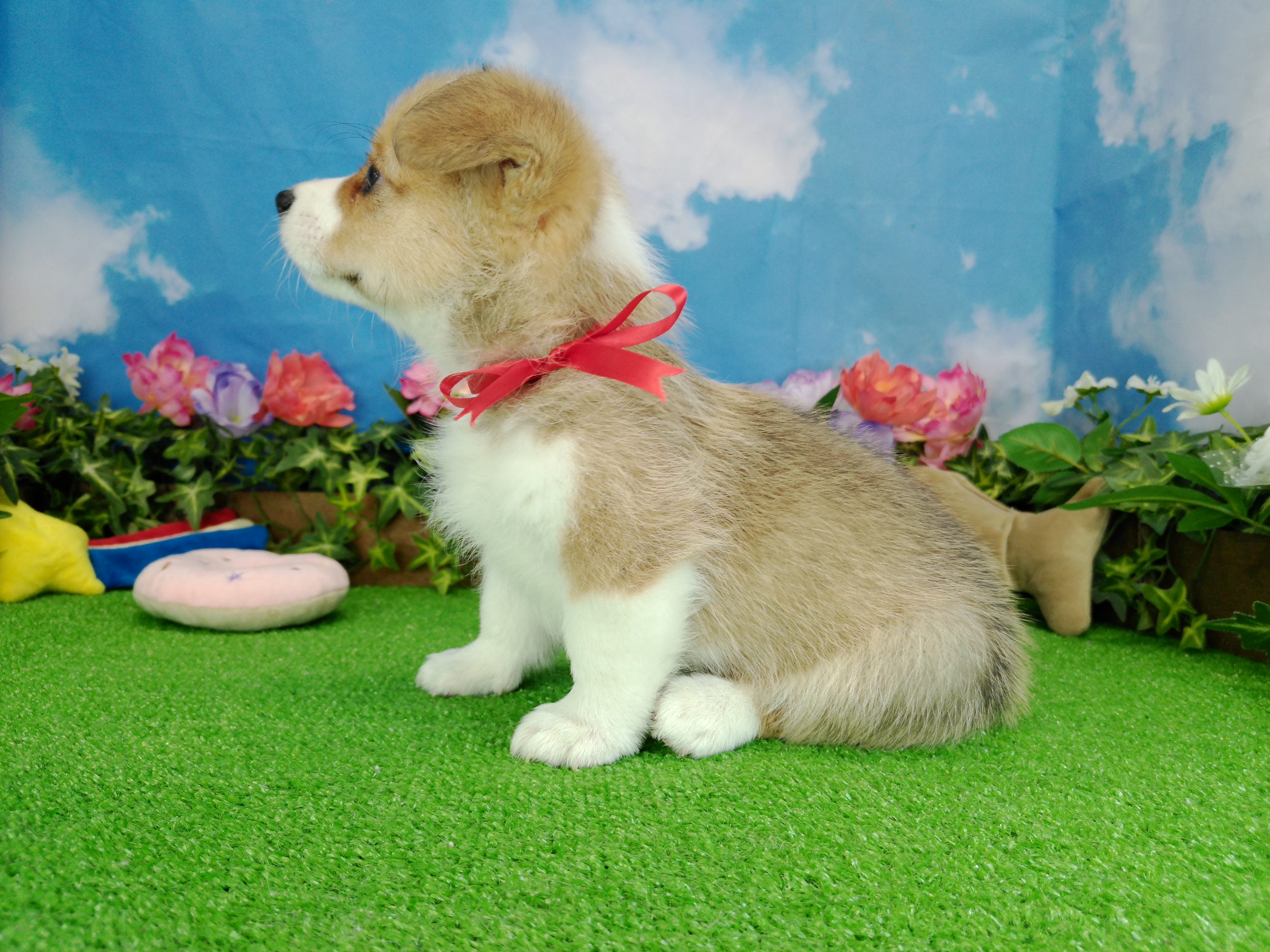 赤ちゃん写真3-2