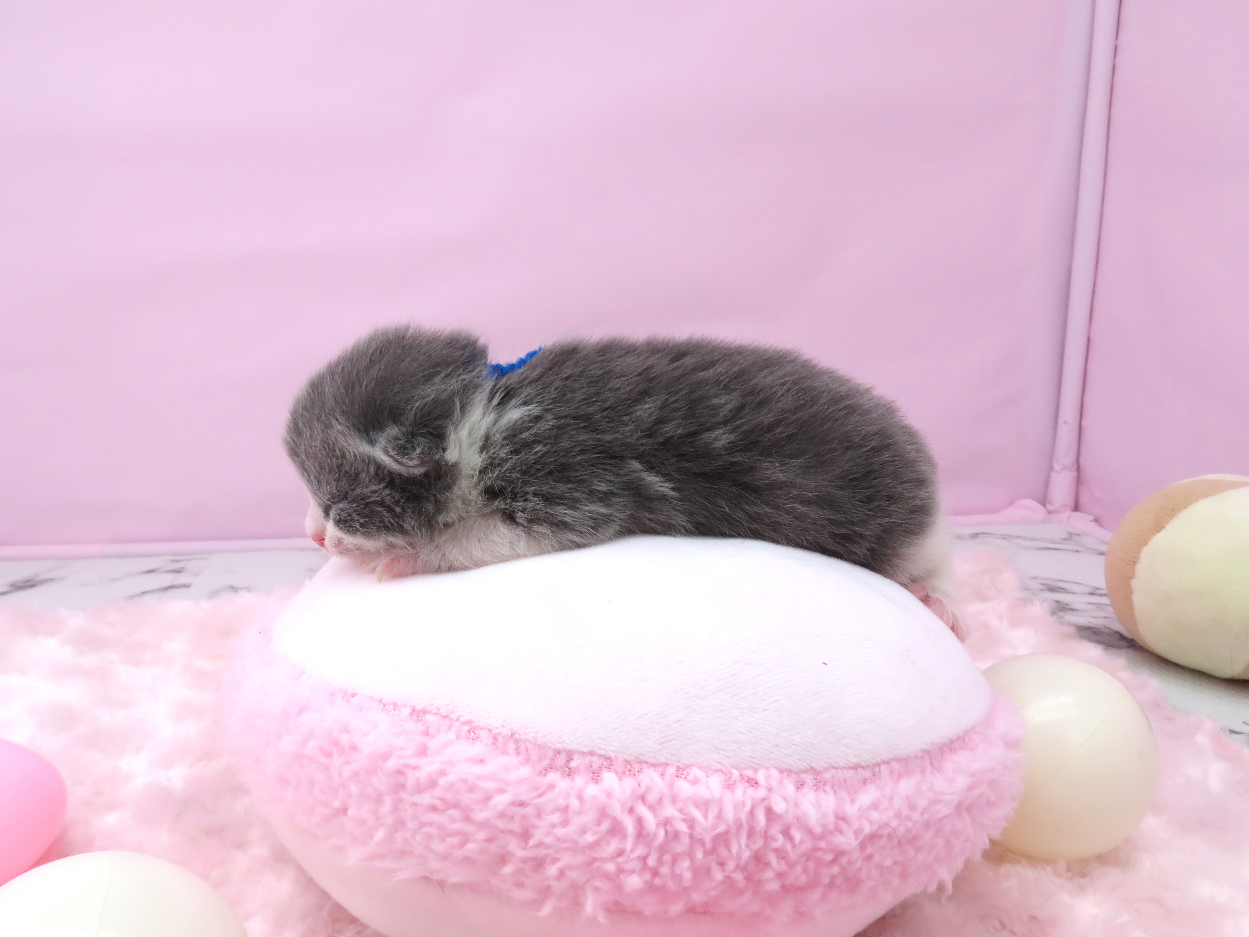 赤ちゃん写真1-2