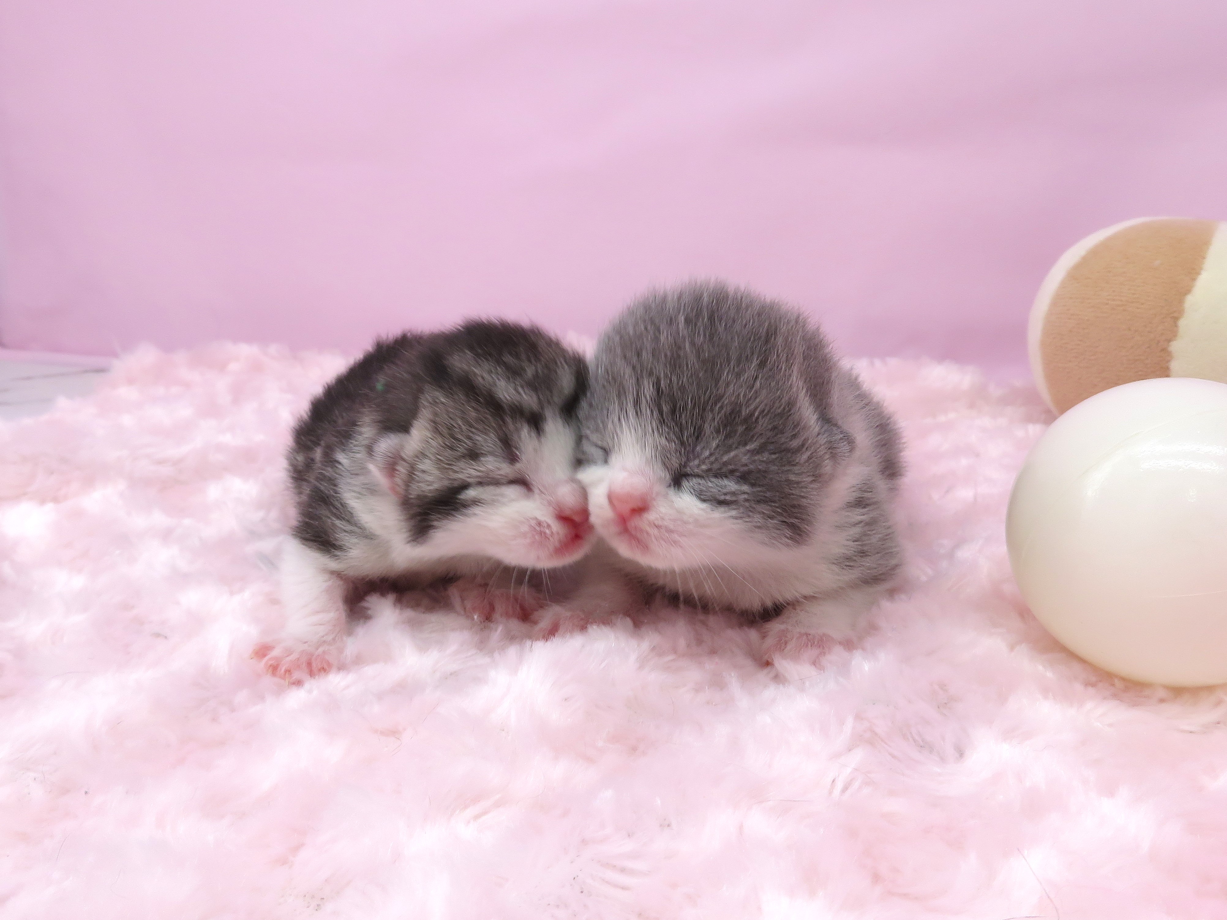 赤ちゃん写真1-3