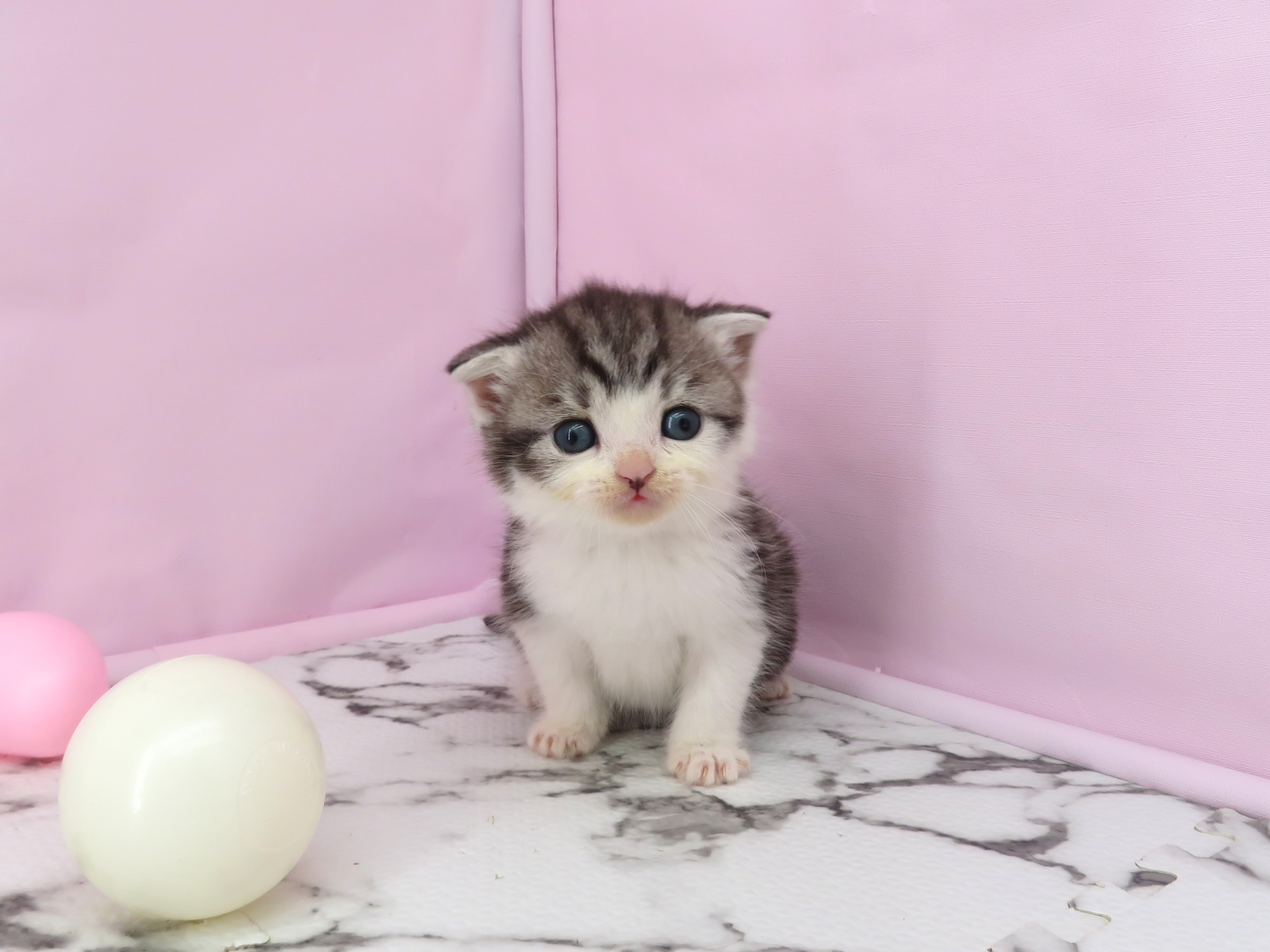 赤ちゃん写真2-1