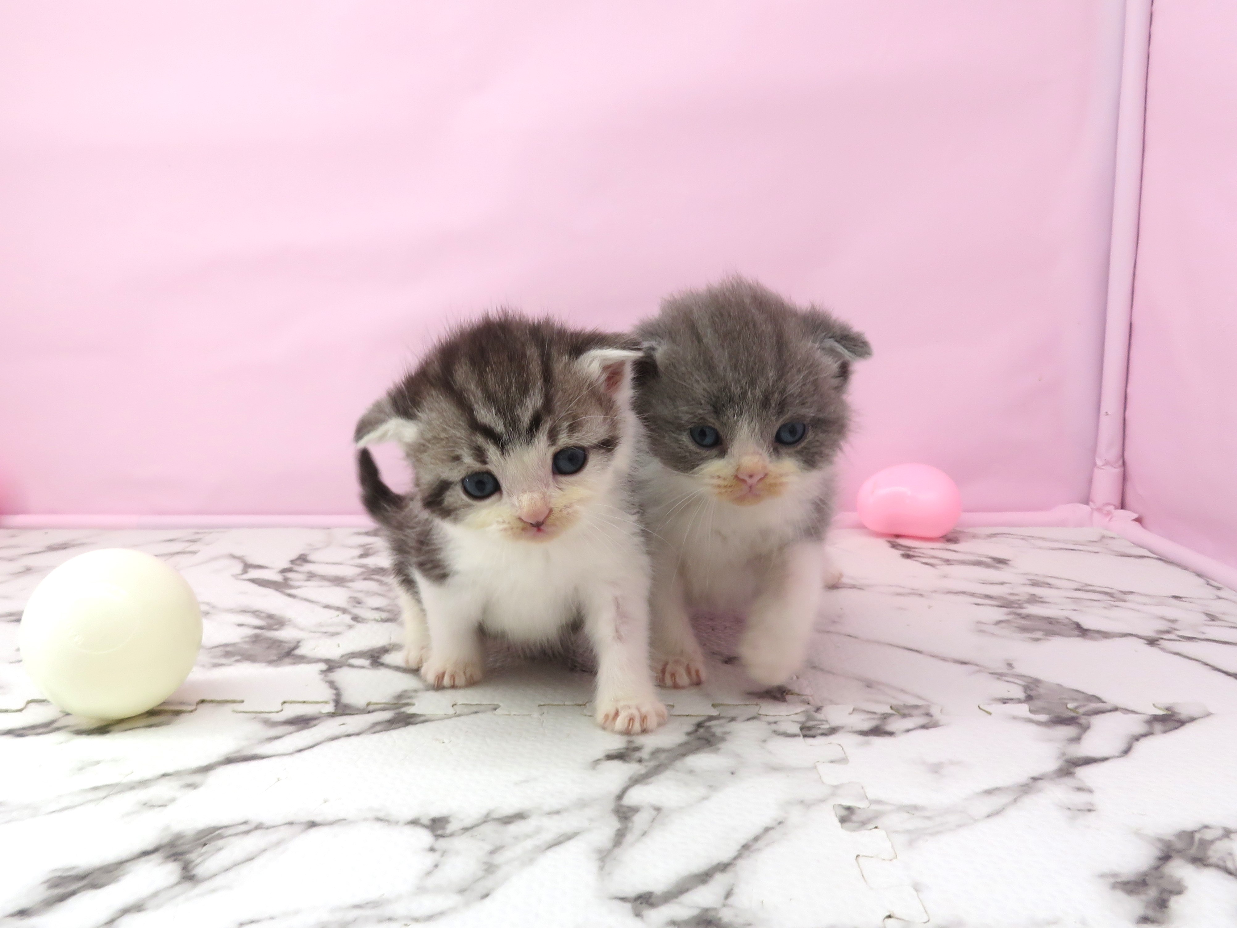 赤ちゃん写真2-3