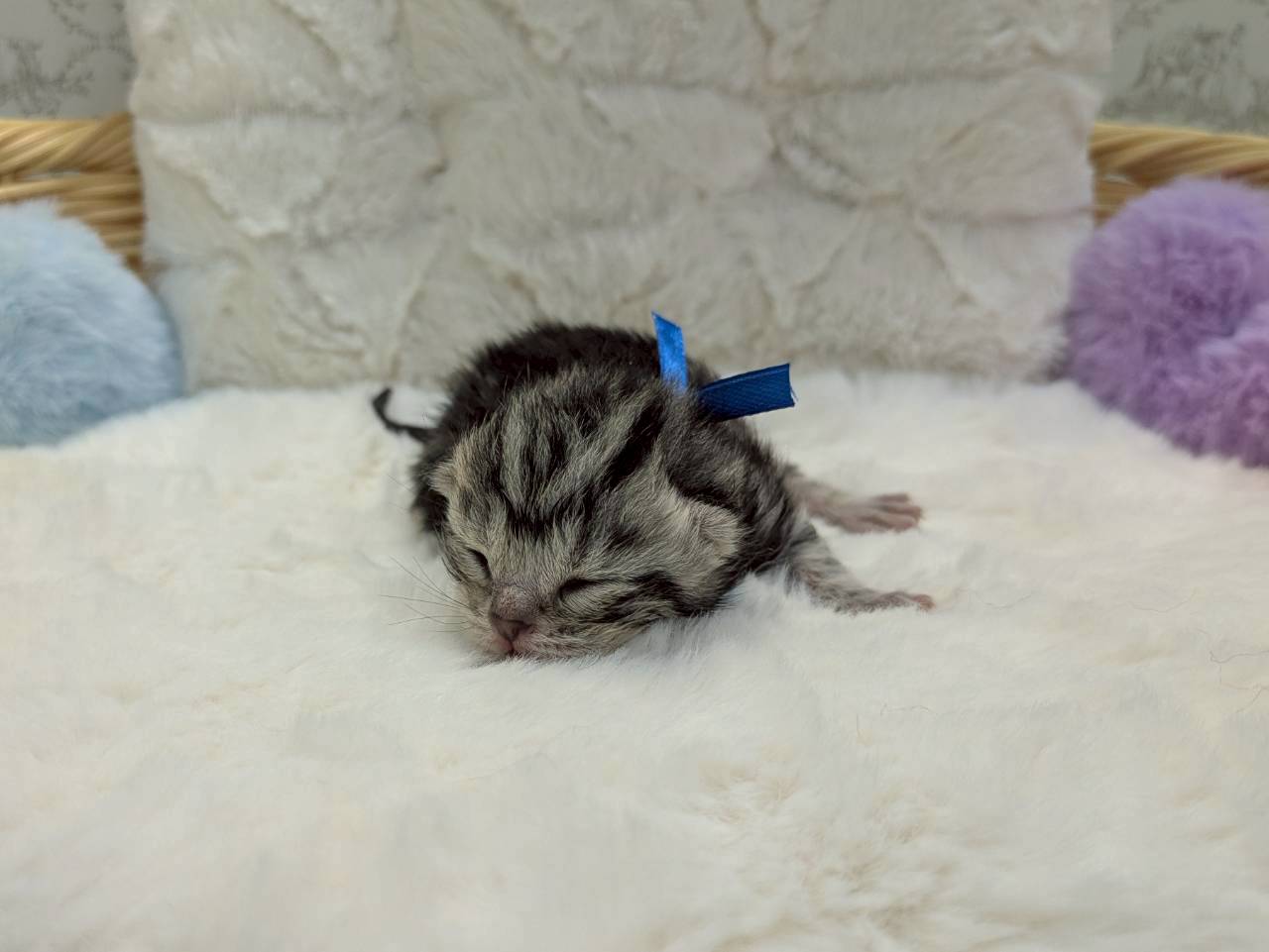 赤ちゃん写真1-1