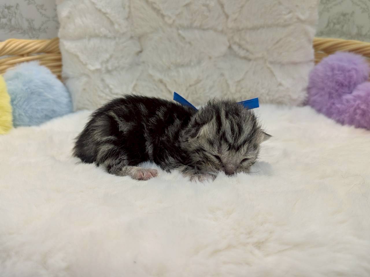 赤ちゃん写真1-2