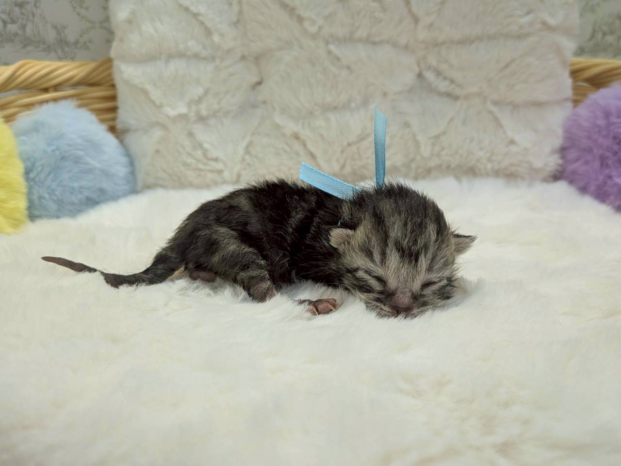 赤ちゃん写真1-2