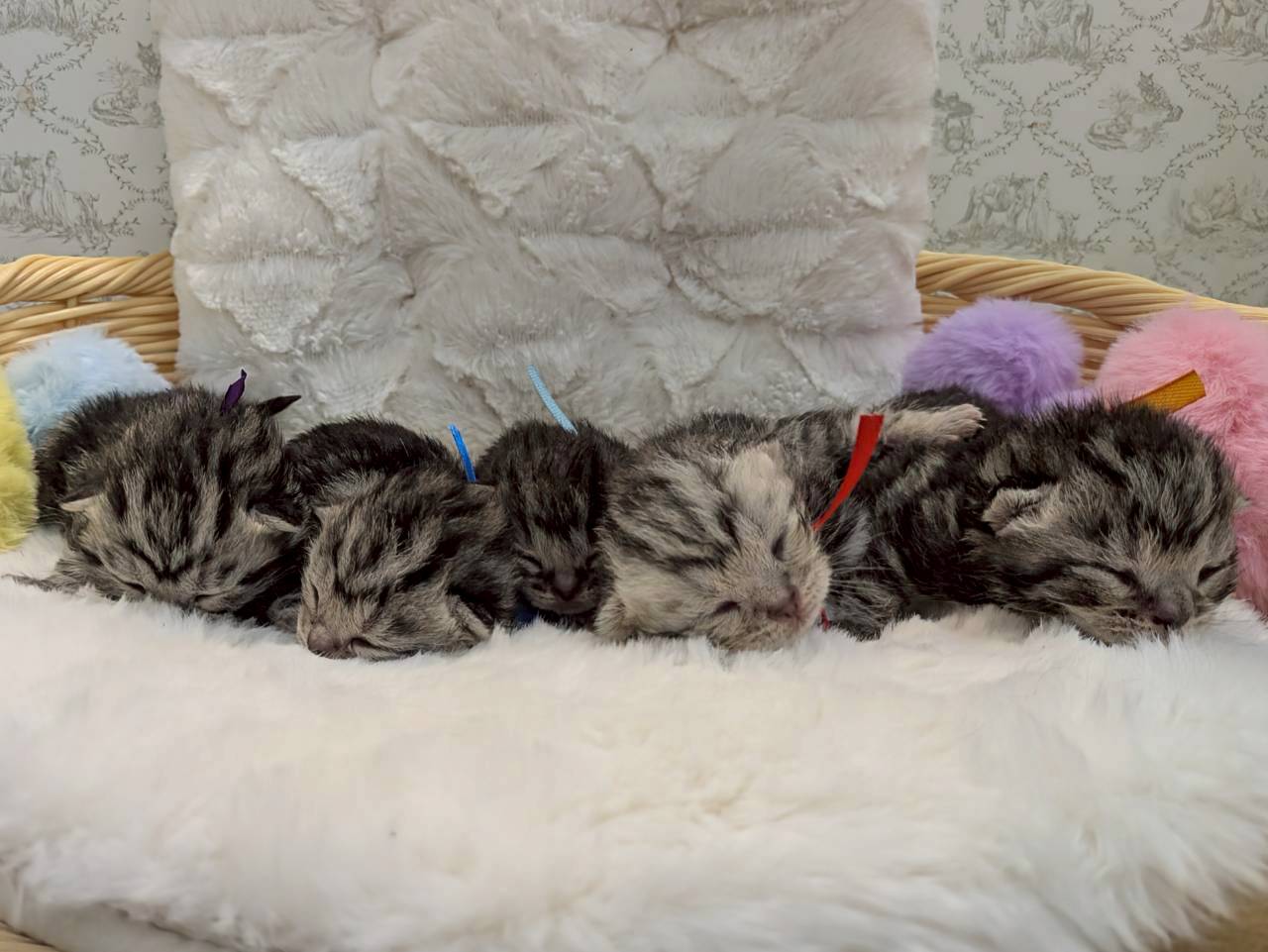 赤ちゃん写真1-3