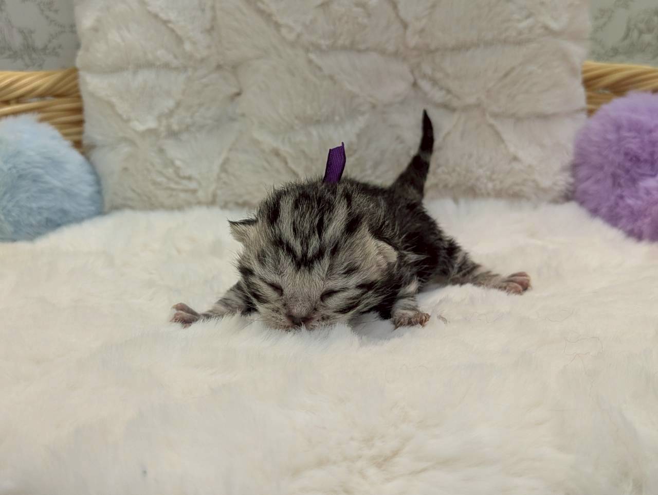 赤ちゃん写真1-1