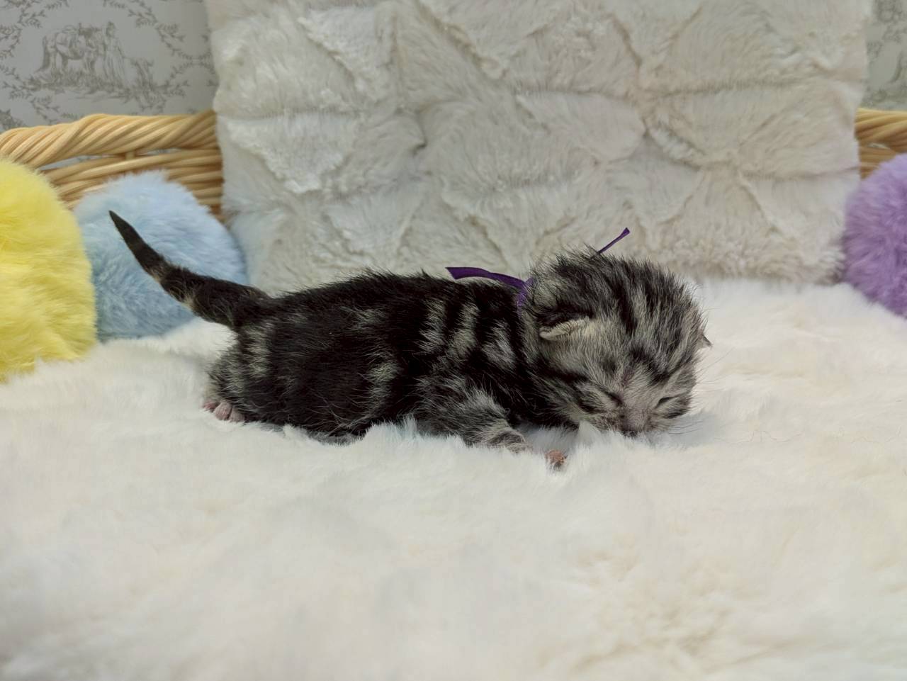 赤ちゃん写真1-2