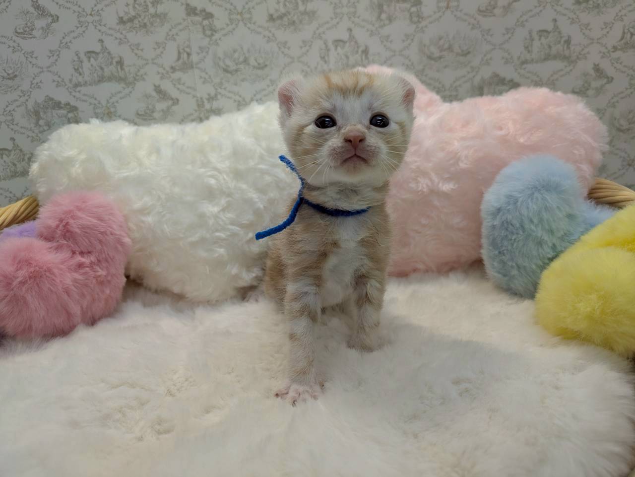 赤ちゃん写真1-1