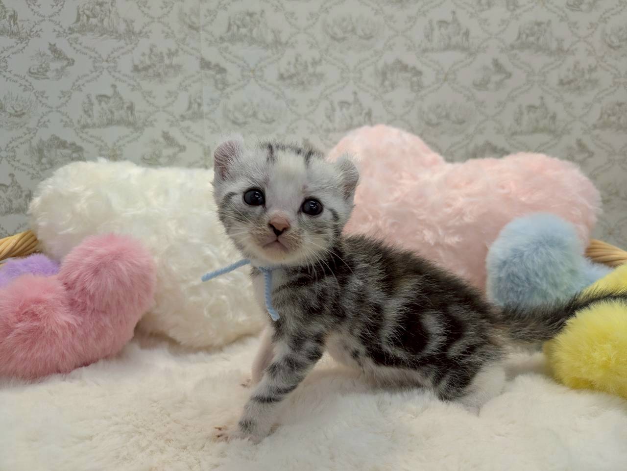 赤ちゃん写真1-2