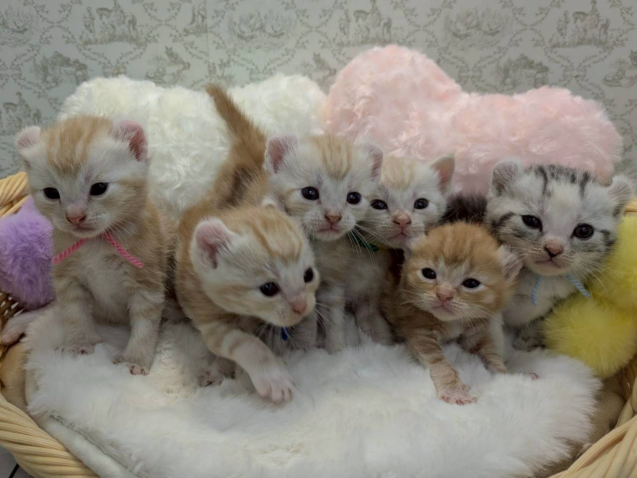 赤ちゃん写真1-3