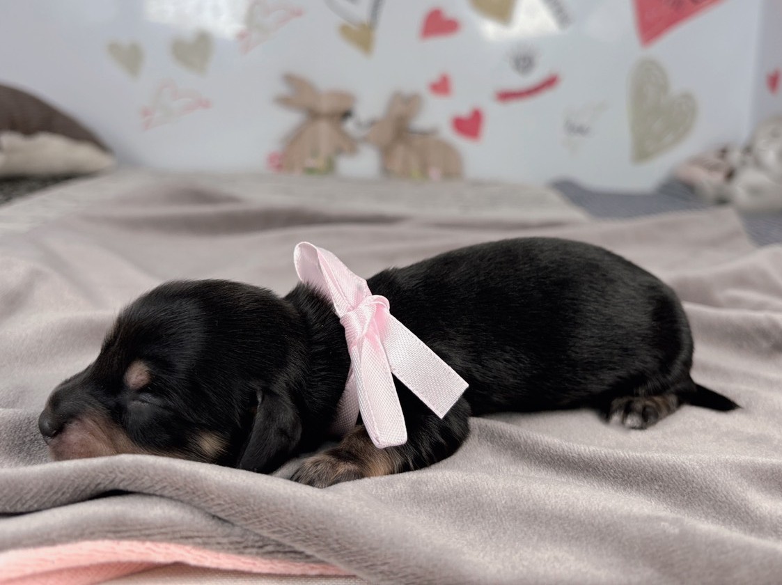 赤ちゃん写真1-2