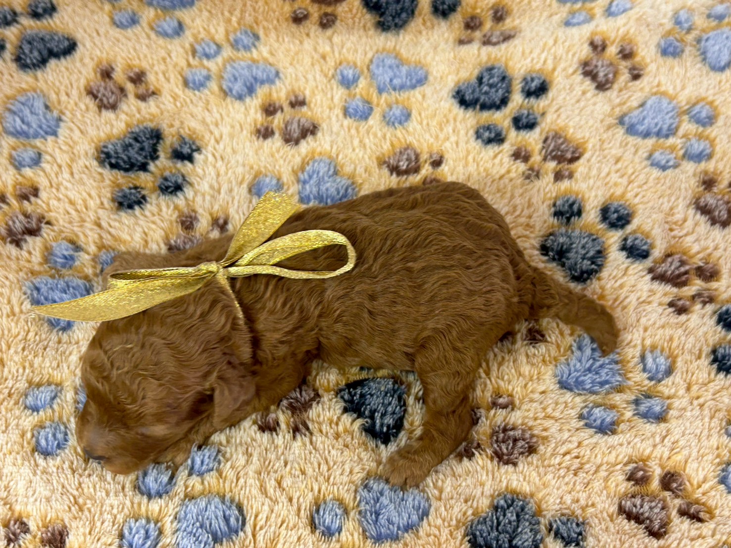 赤ちゃん写真1-3
