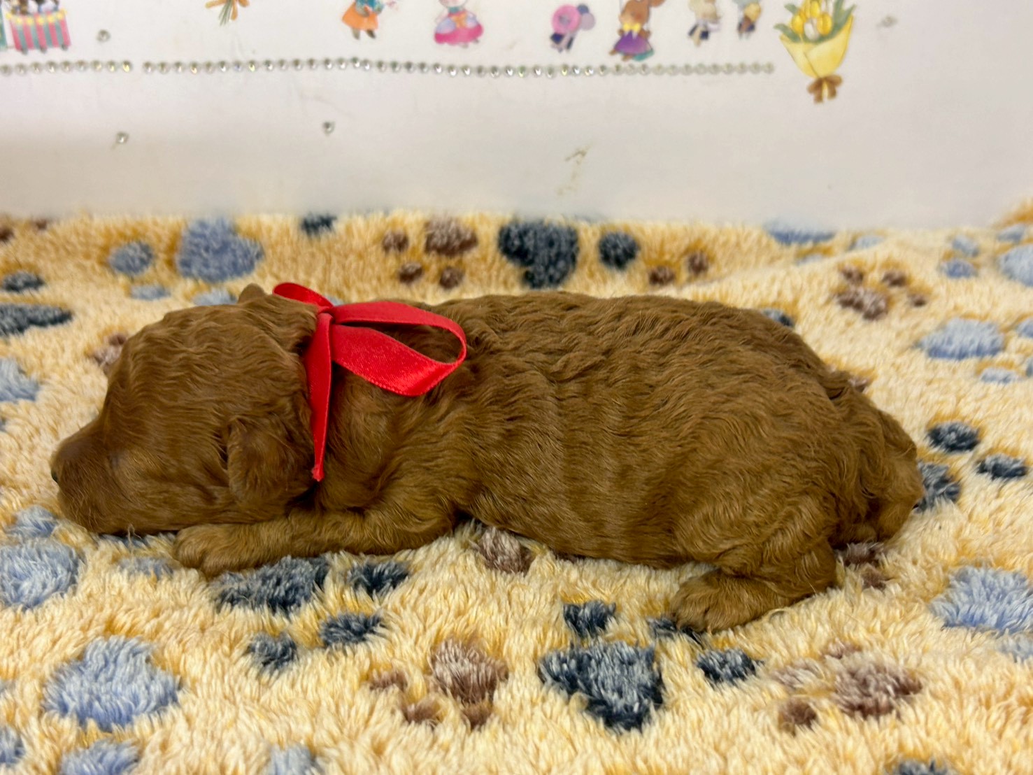 赤ちゃん写真1-2