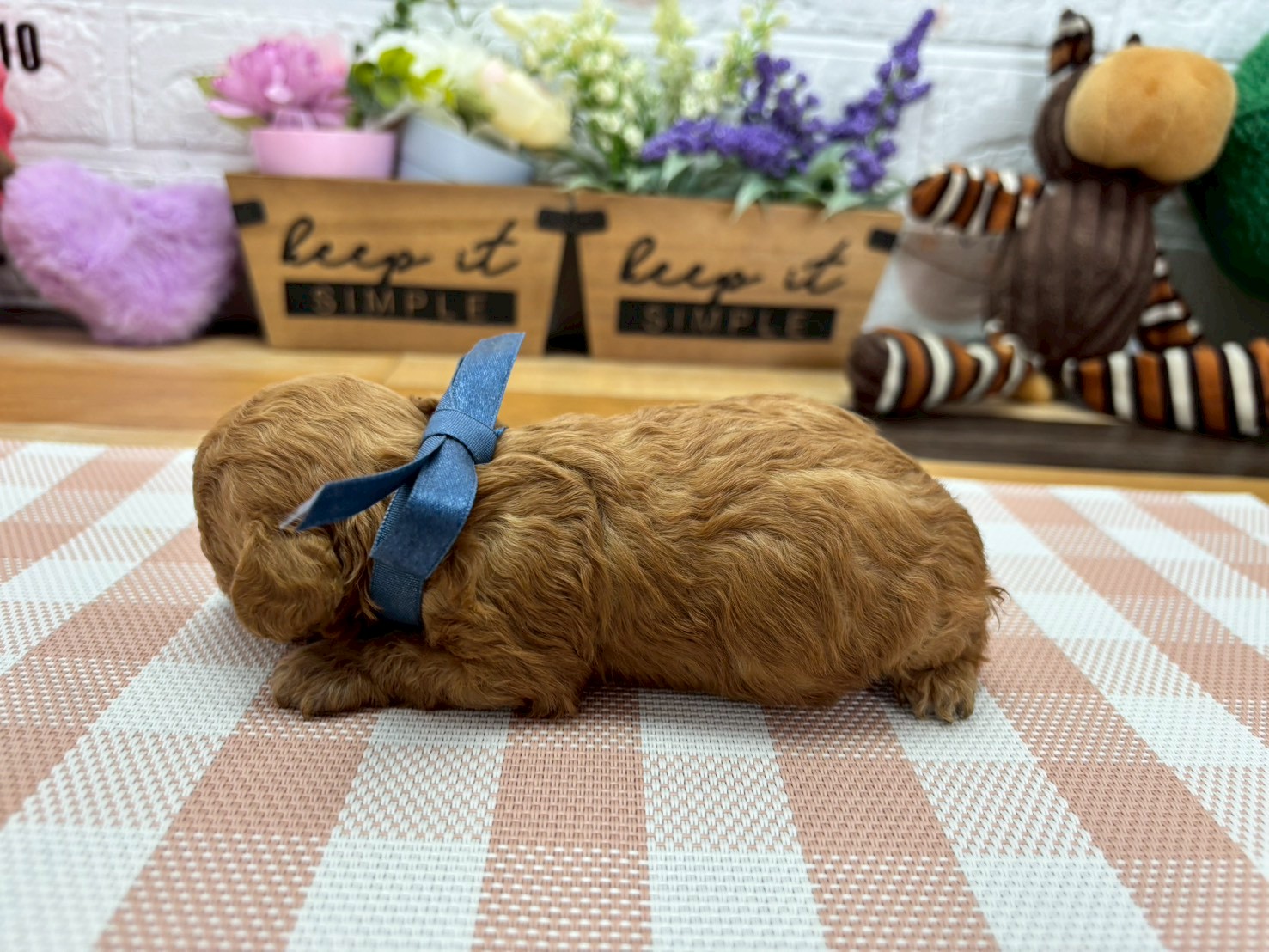 赤ちゃん写真2-2