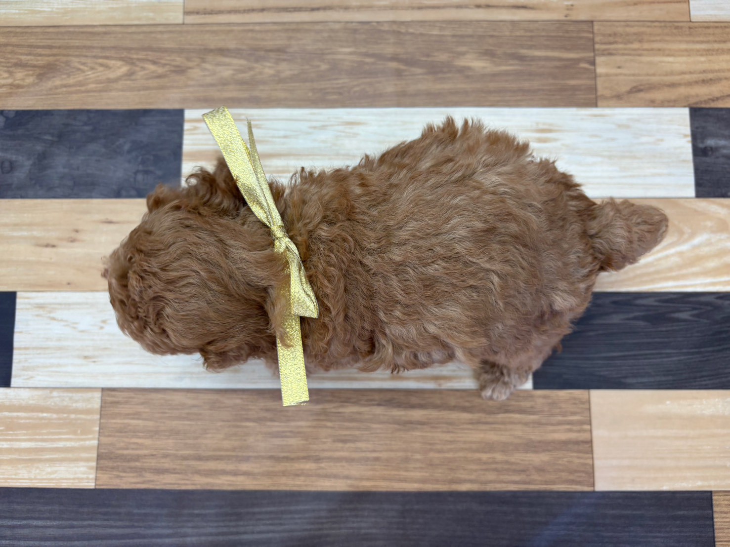 赤ちゃん写真3-3