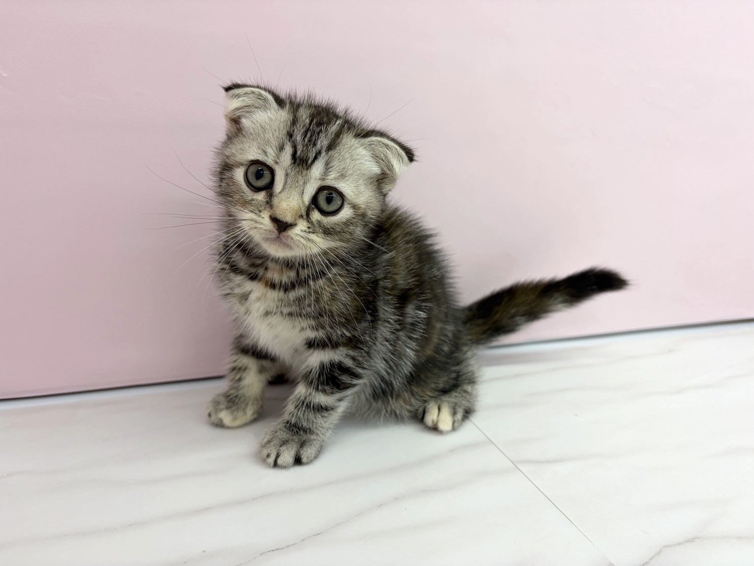 赤ちゃん写真2-1