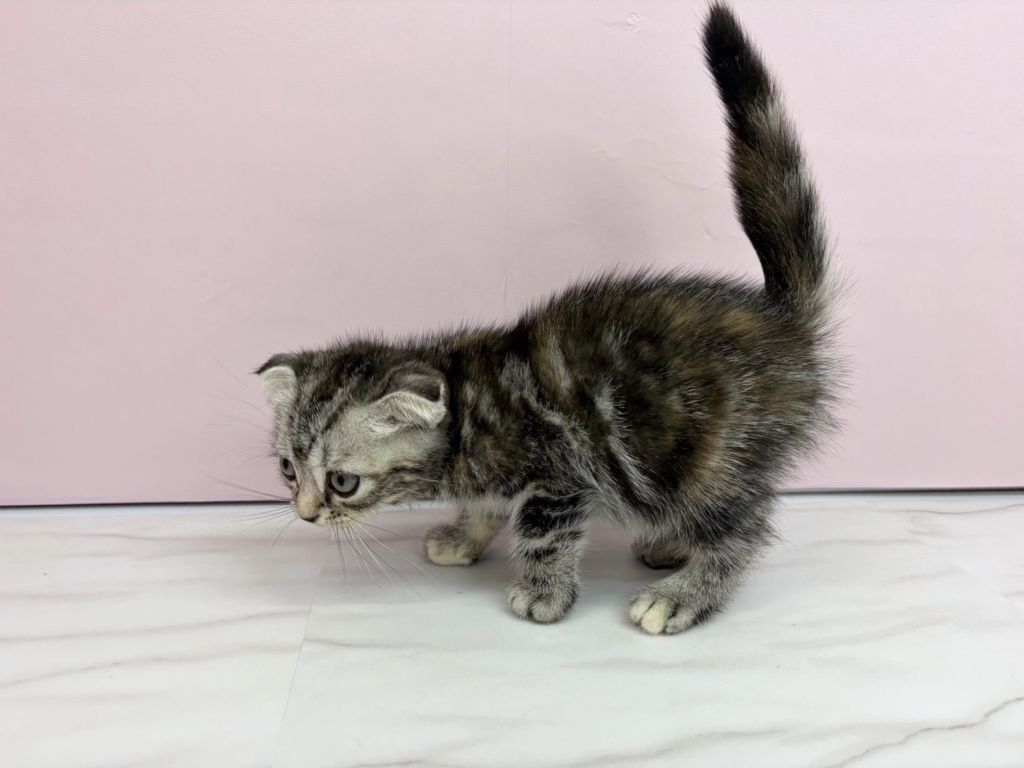 赤ちゃん写真2-2