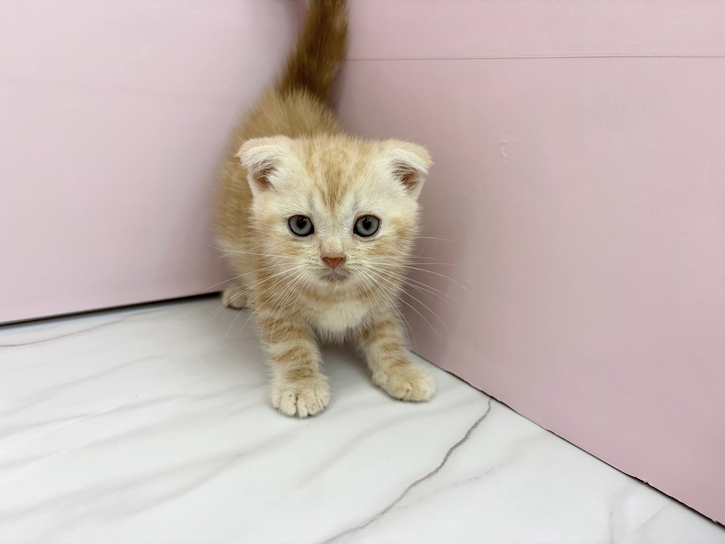 赤ちゃん写真2-1