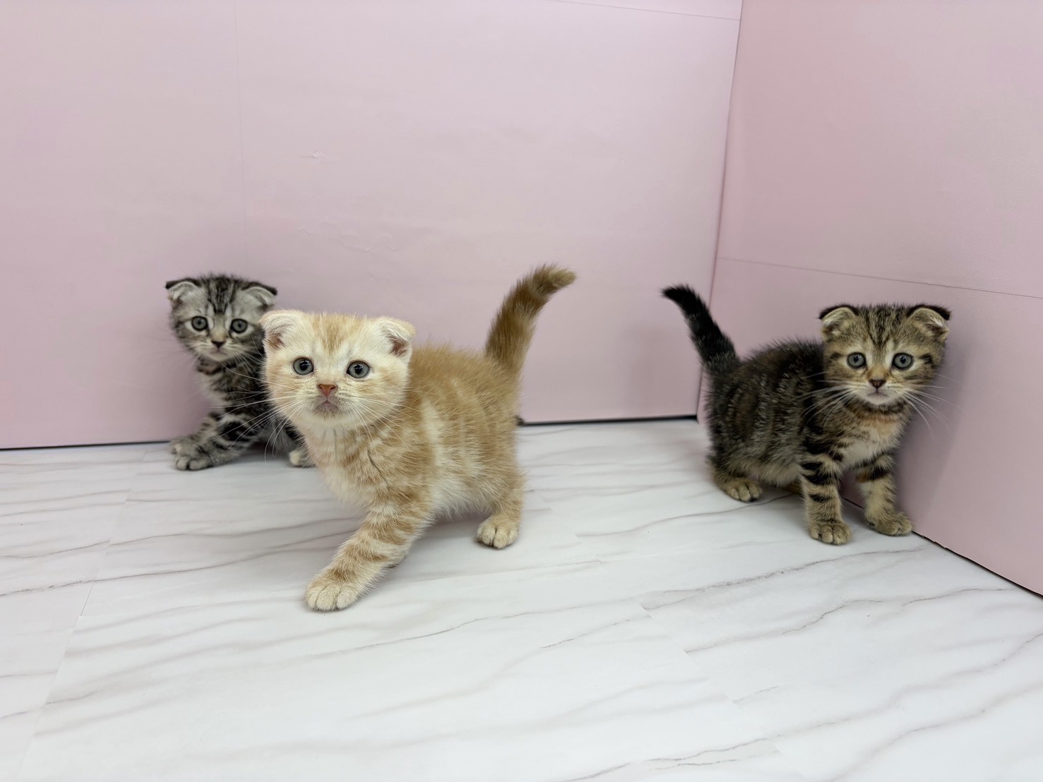 赤ちゃん写真2-3