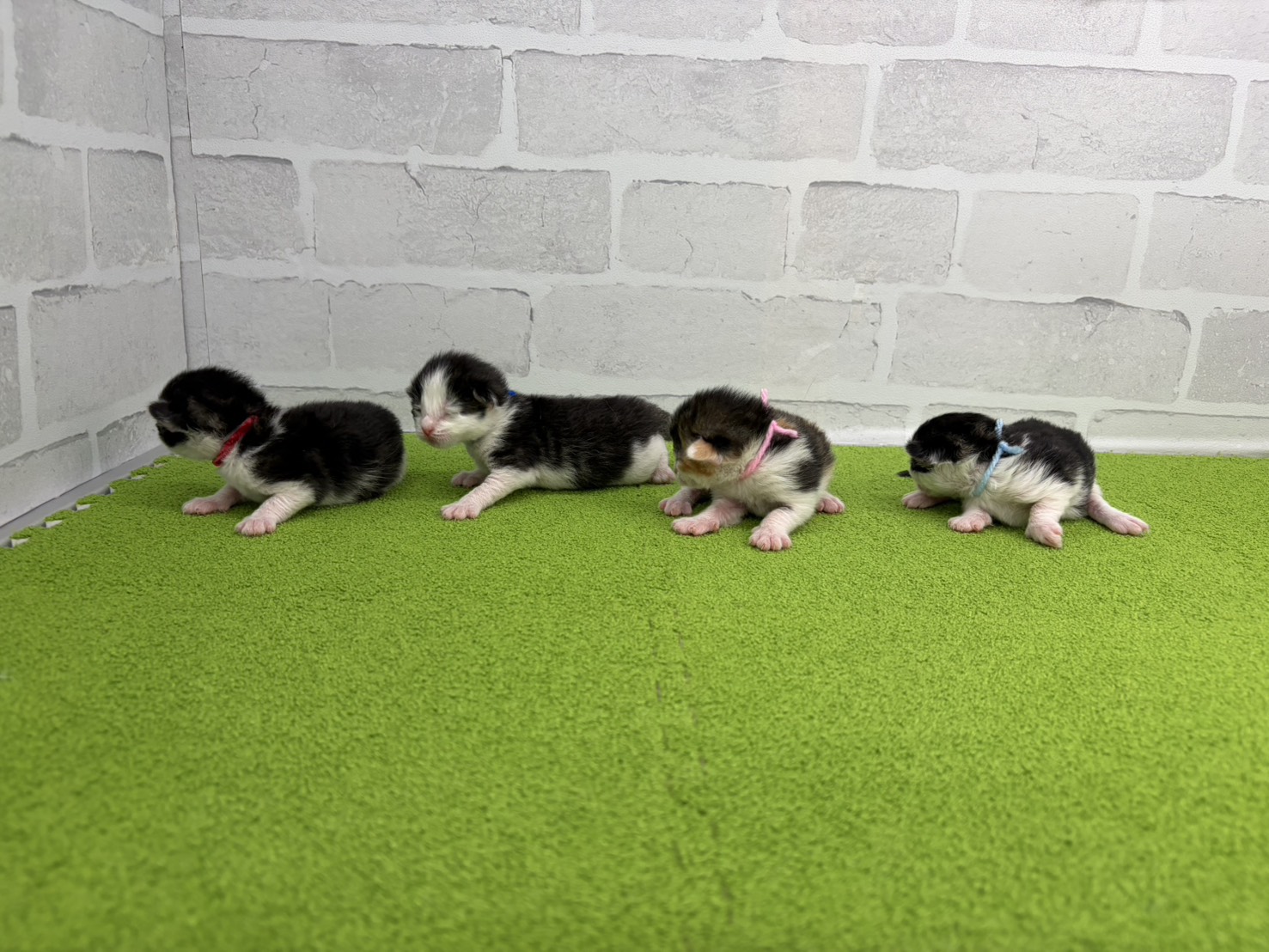 赤ちゃん写真1-3
