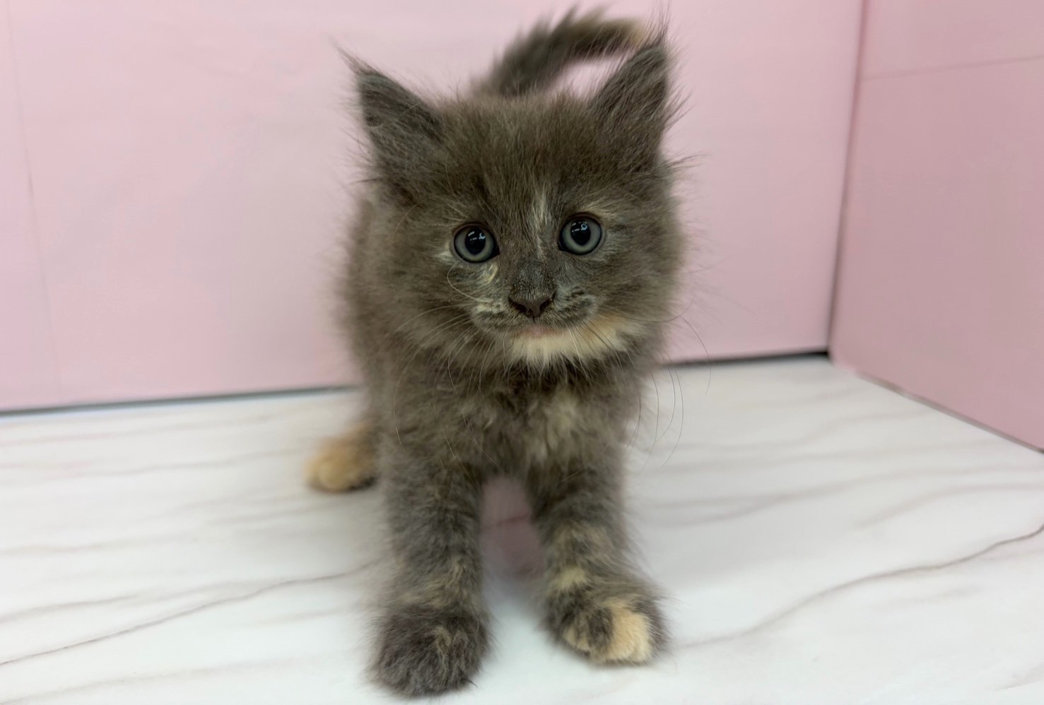 赤ちゃん写真2-1