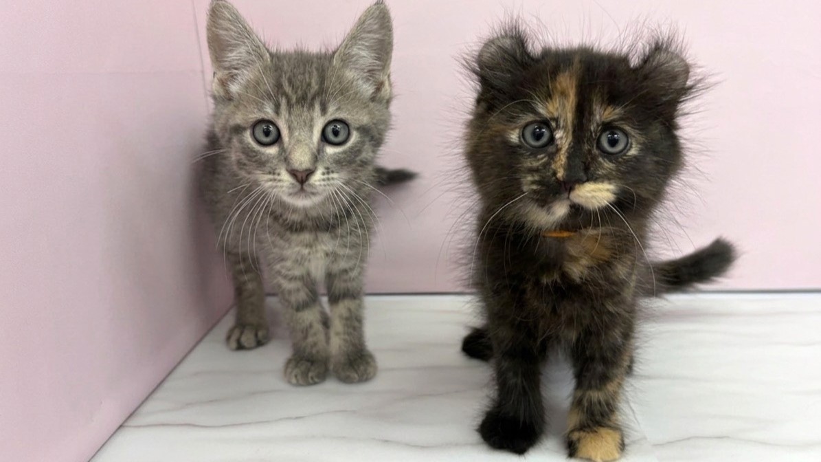 赤ちゃん写真2-3