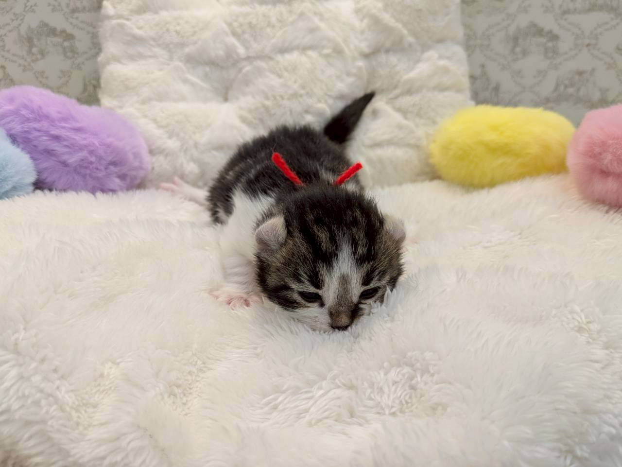赤ちゃん写真1-1