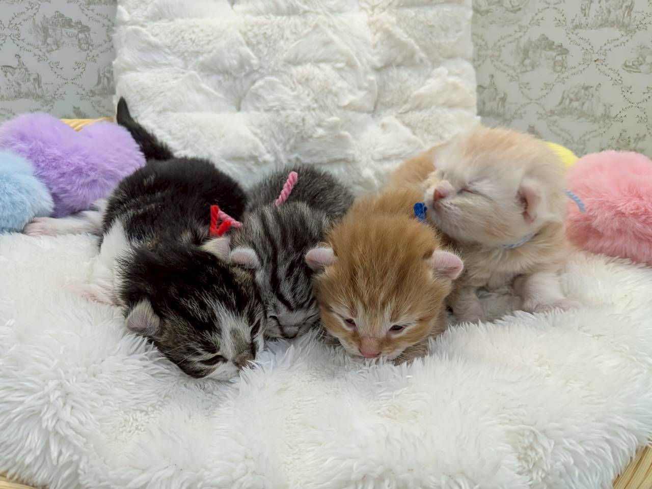 赤ちゃん写真1-3