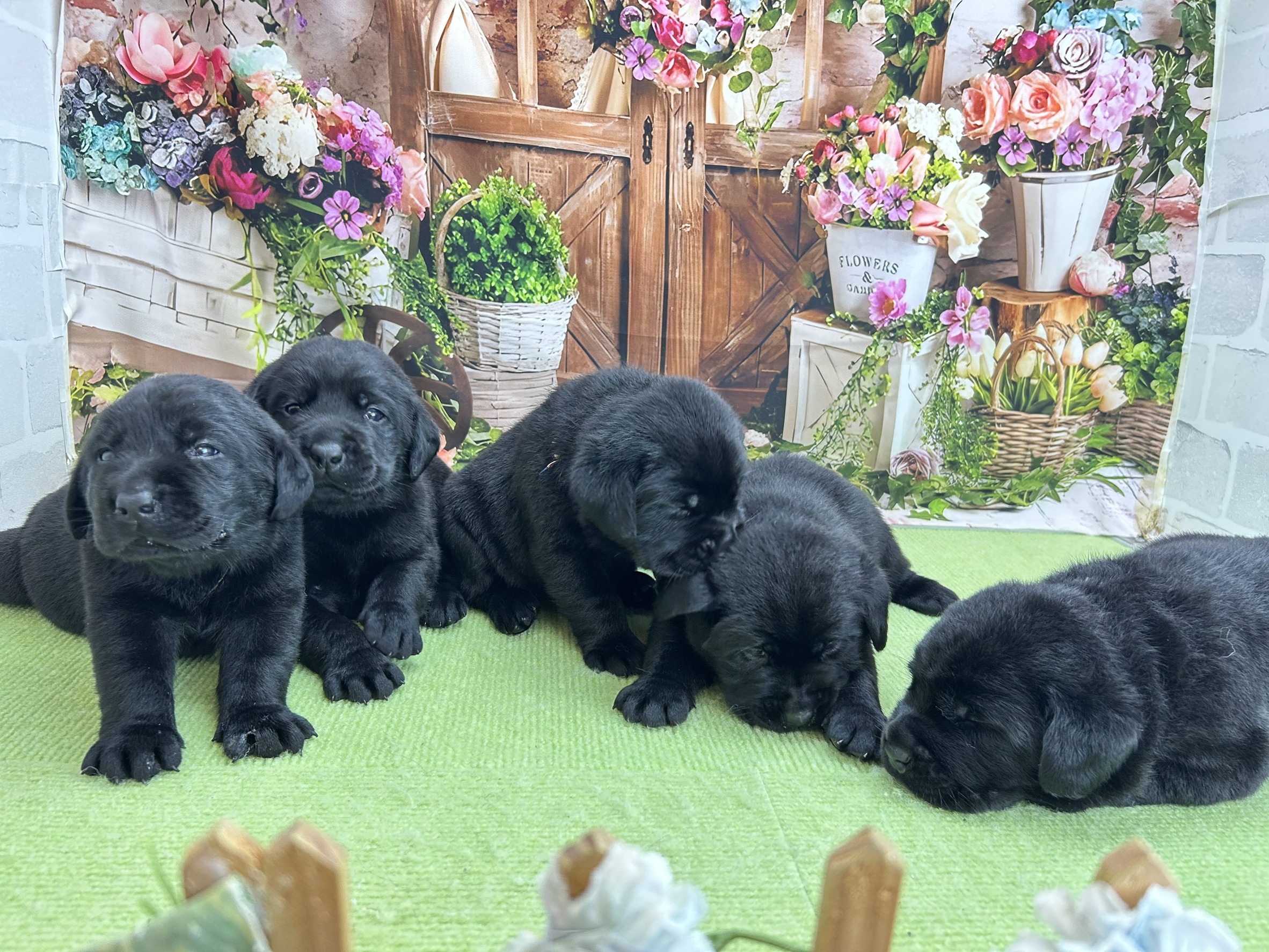 赤ちゃん写真1-3