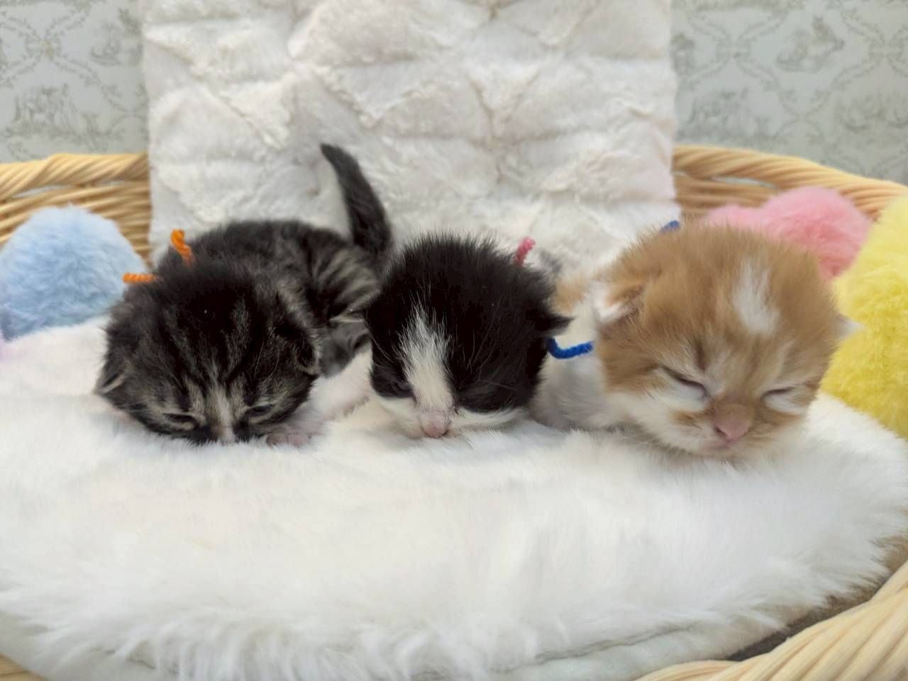 赤ちゃん写真1-3