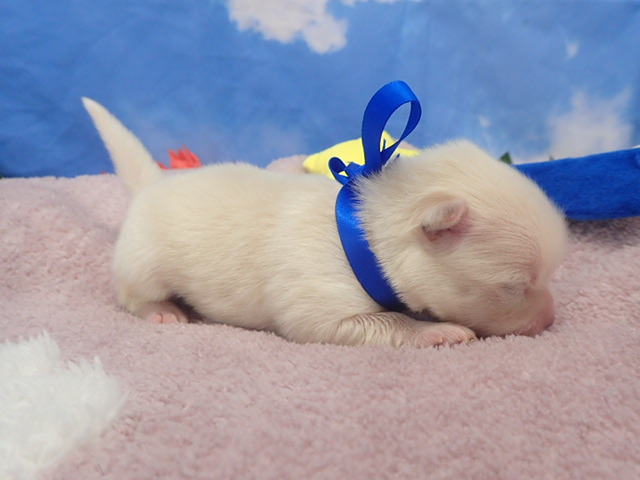 赤ちゃん写真1-2