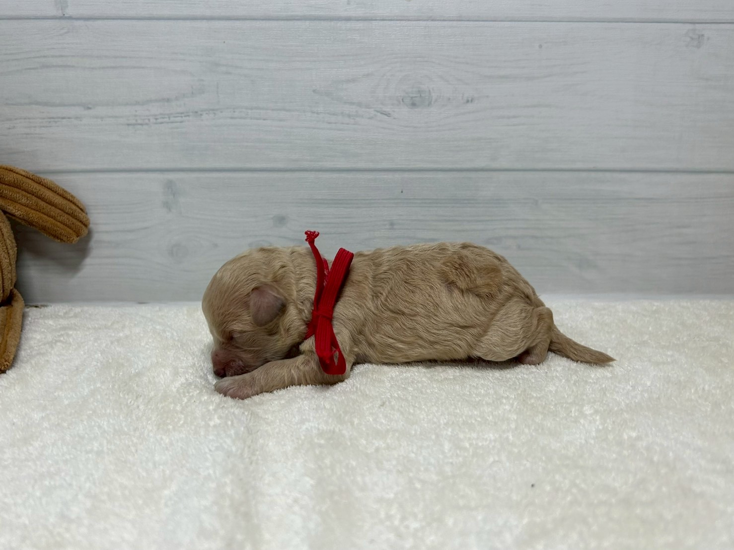 赤ちゃん写真1-2