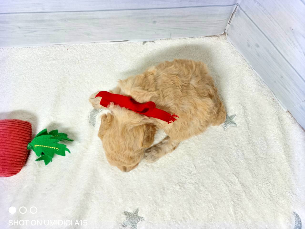 赤ちゃん写真2-3