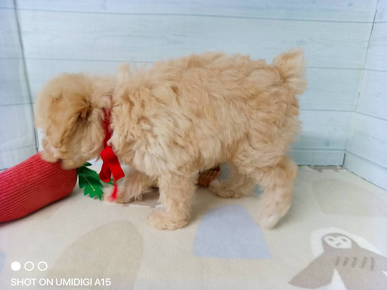 赤ちゃん写真3-2
