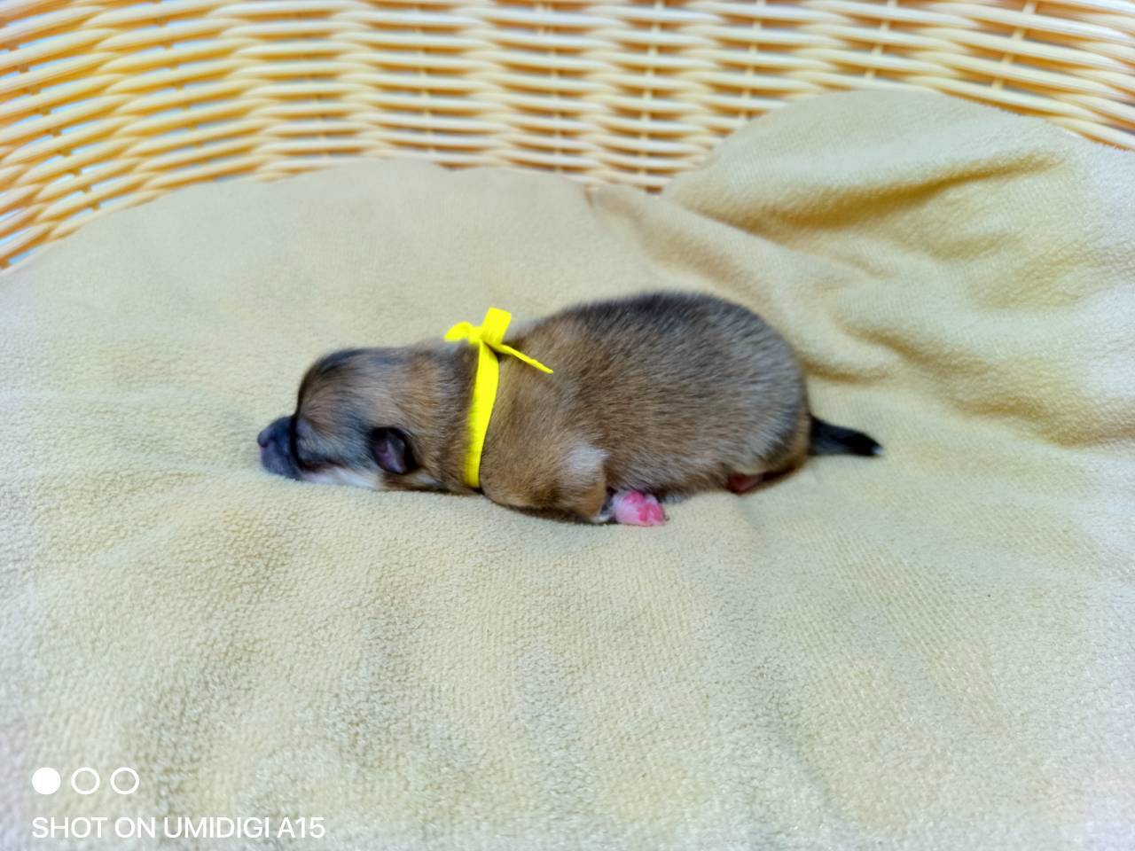 赤ちゃん写真1-2