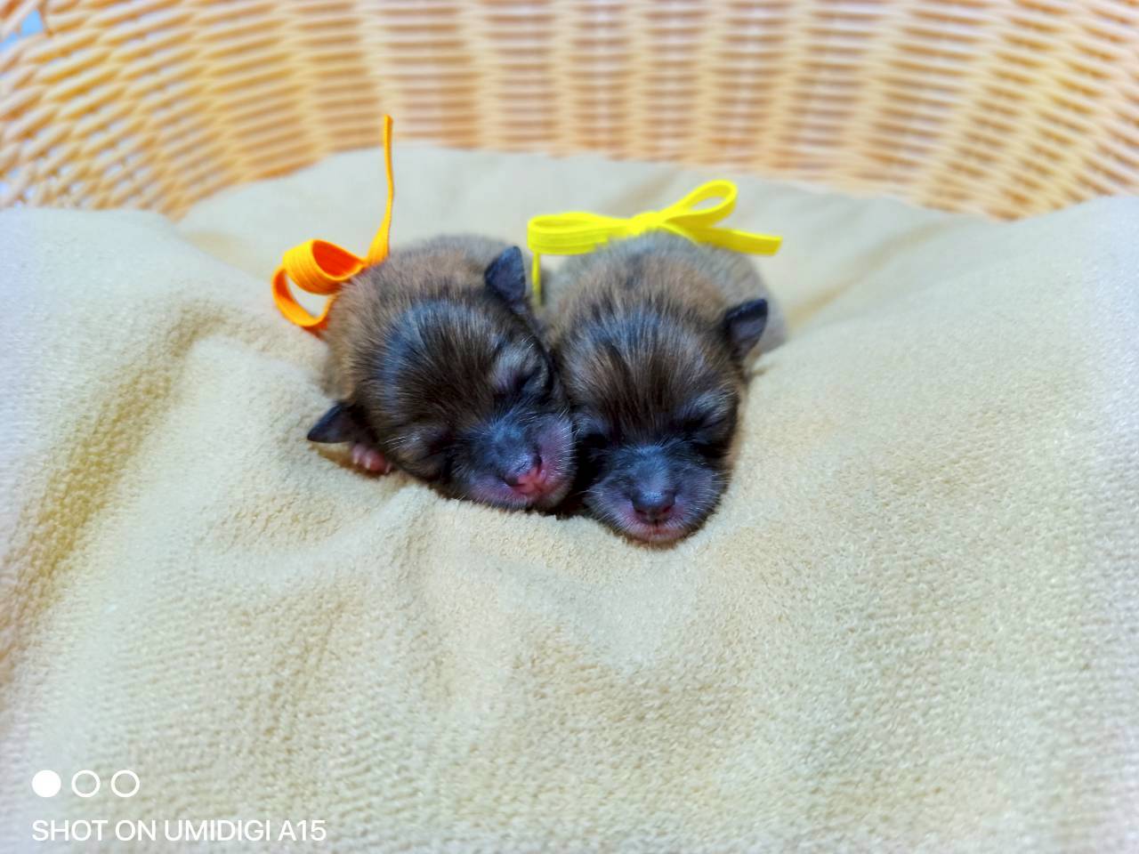 赤ちゃん写真1-3