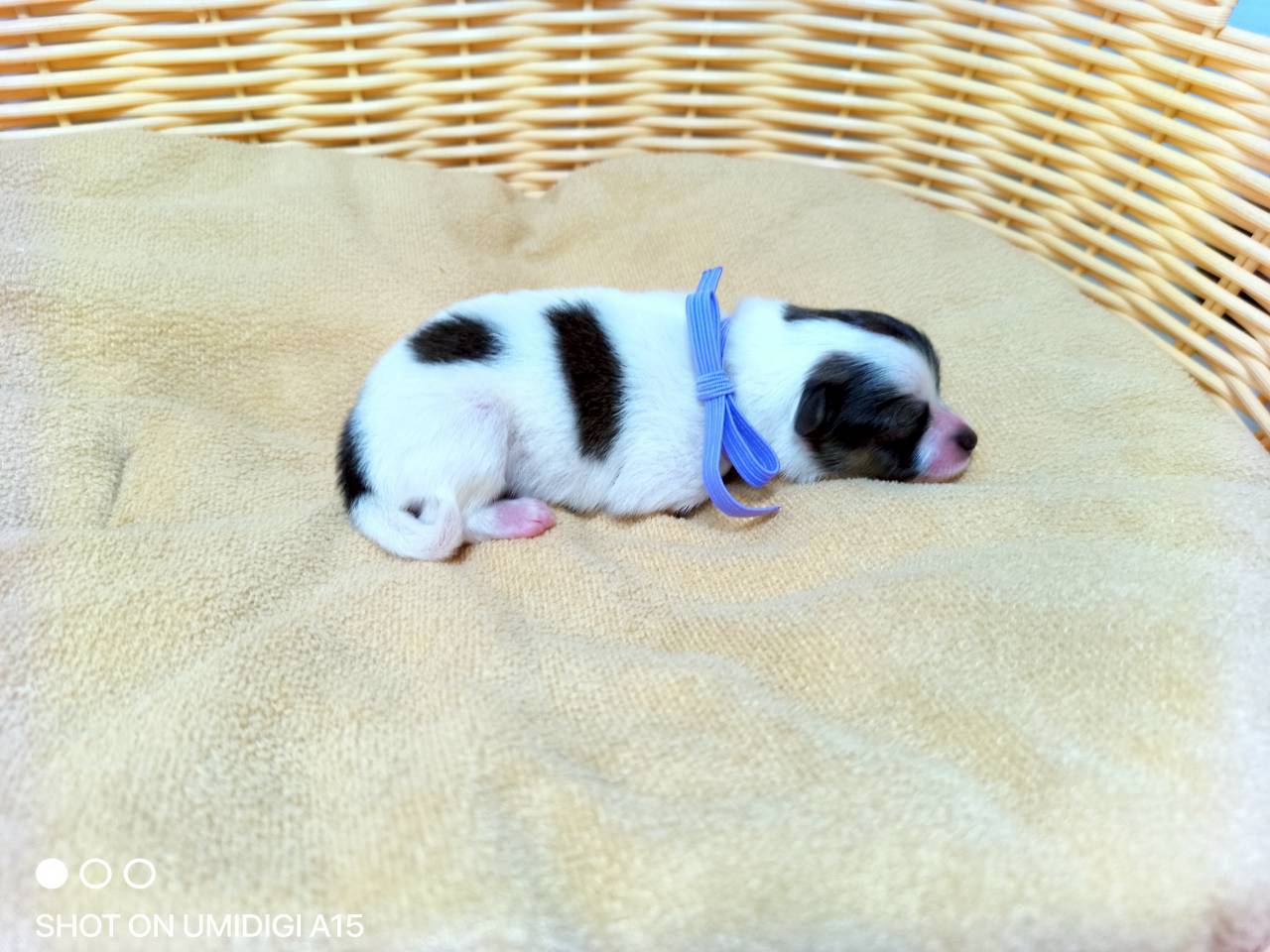 赤ちゃん写真1-2