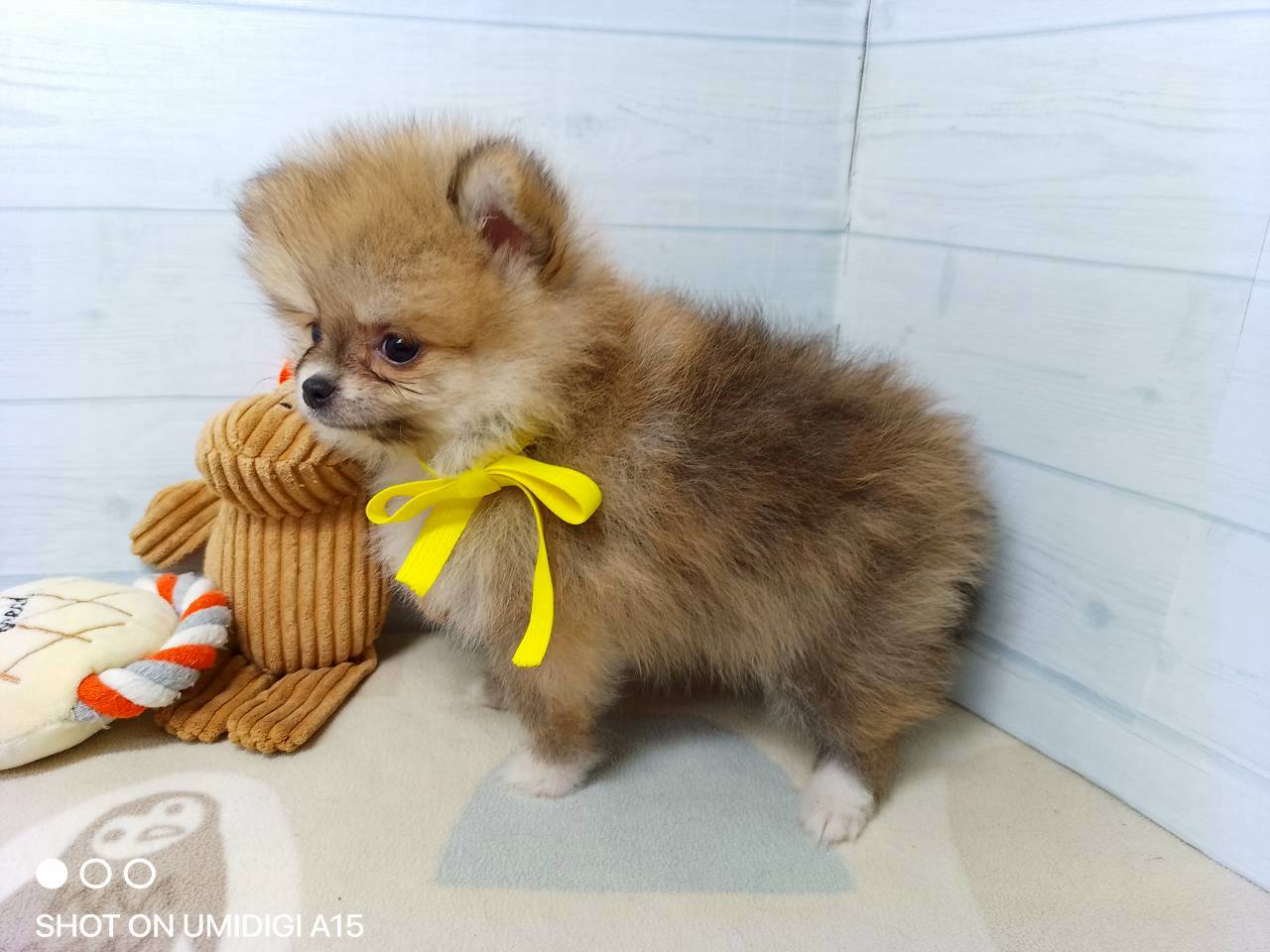 赤ちゃん写真3-2