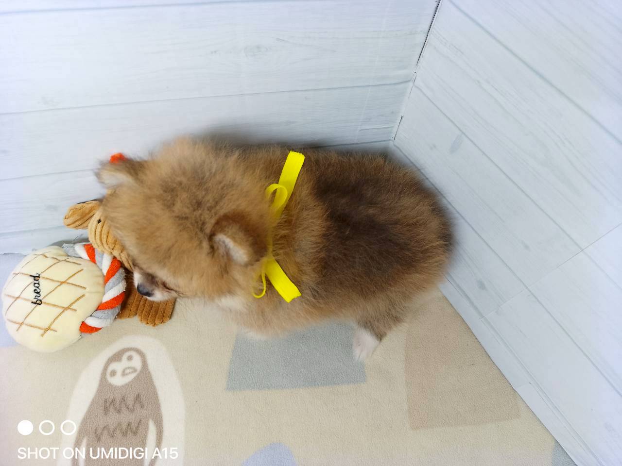 赤ちゃん写真3-3
