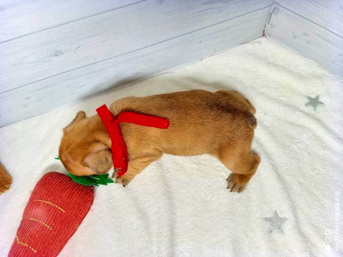 赤ちゃん写真2-3